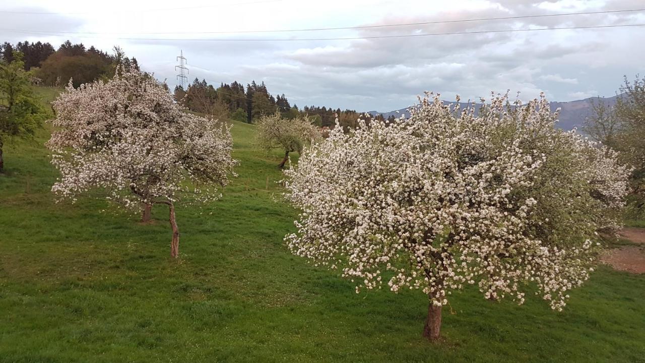 Ferienwohnungen Klimbacher 볼프스베르크 외부 사진