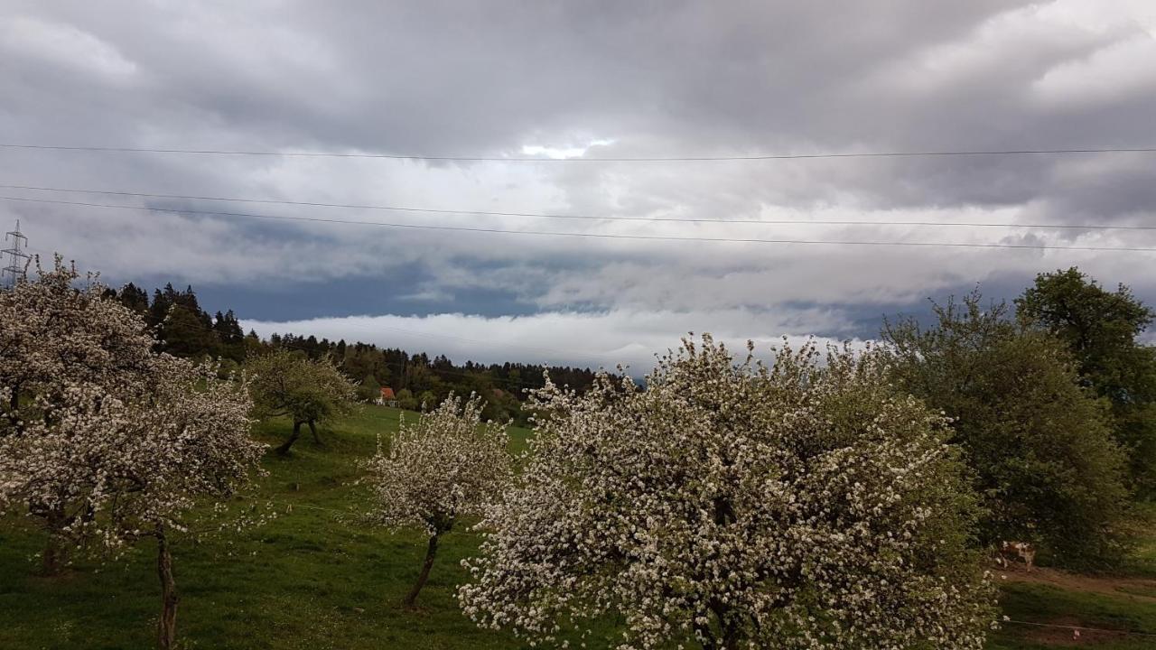 Ferienwohnungen Klimbacher 볼프스베르크 외부 사진