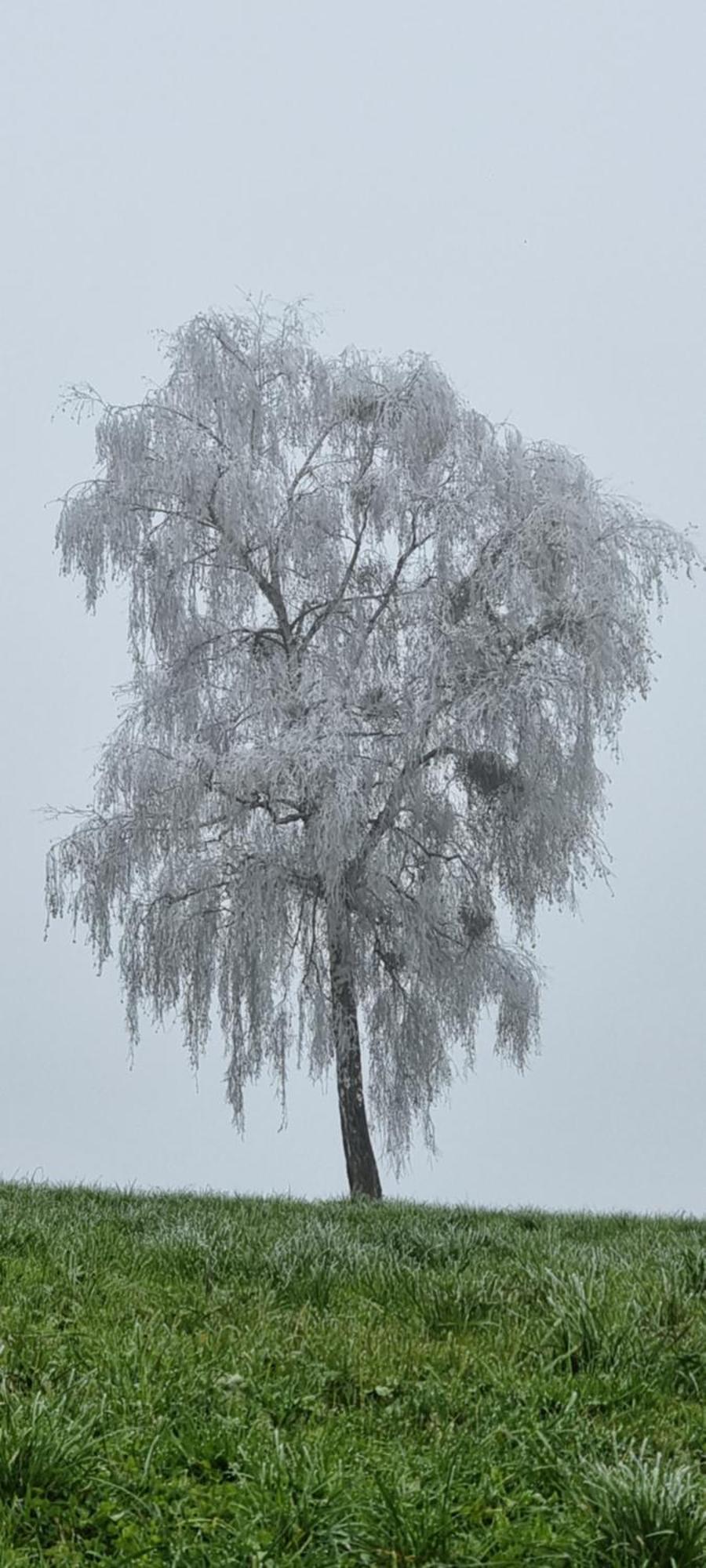 Ferienwohnungen Klimbacher 볼프스베르크 외부 사진
