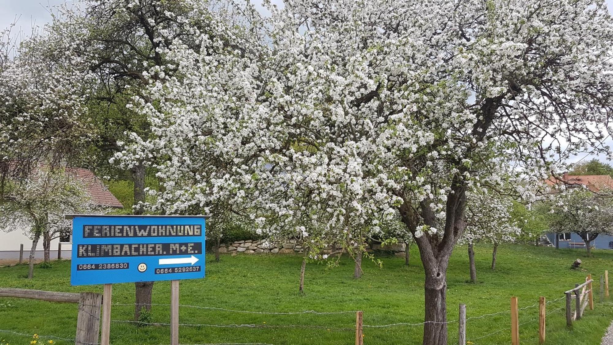 Ferienwohnungen Klimbacher 볼프스베르크 객실 사진